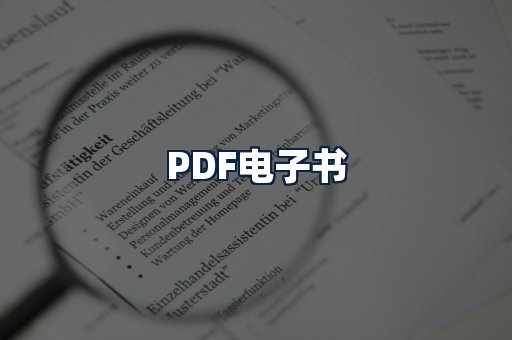PDF电子书
